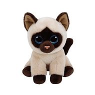 Jaden the Siamese Cat