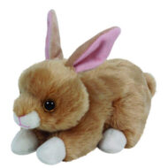 Bunnie the Rabbit