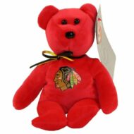 Chicago Blackhawks the Bear