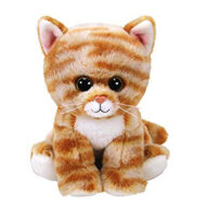 Cleo the Cat