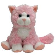 Curtsy the Cat