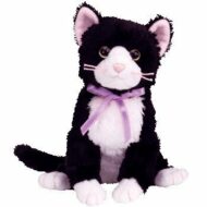 Fussy the Cat