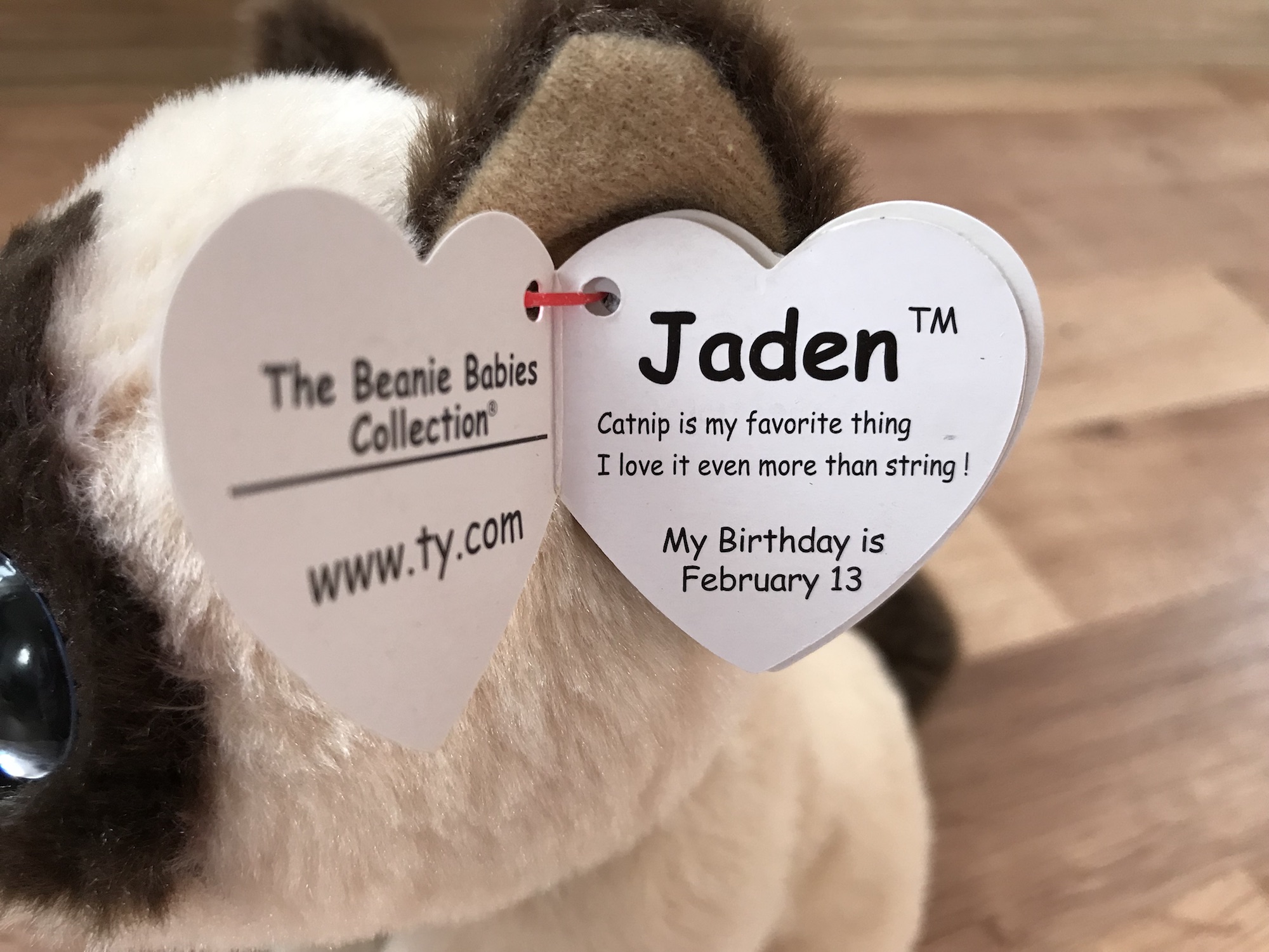 Jaden Beanie Baby Poem