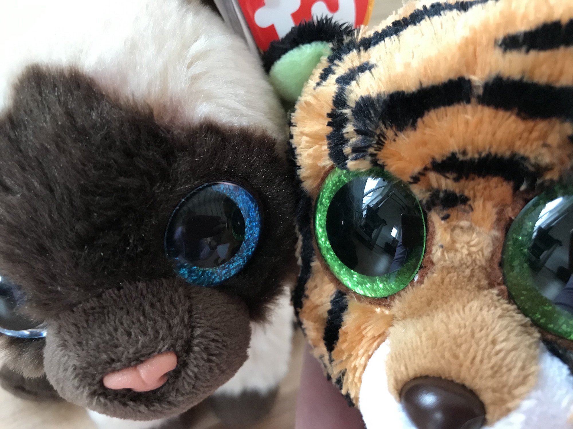 Jaden Beanie Baby and Stripes Beanie Boo